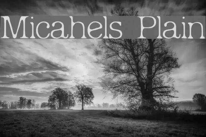 Micahels Plain Font examples