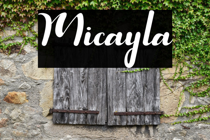 Micayla Example 3