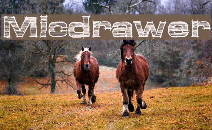 Micdrawer Font examples