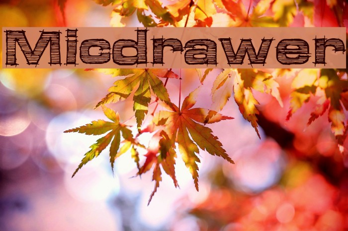 Micdrawer Font examples
