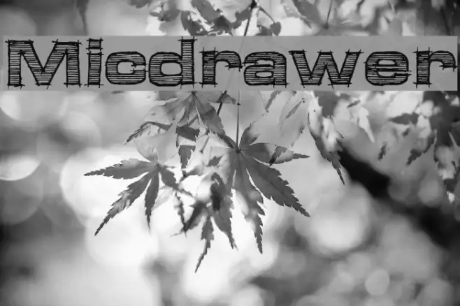 Micdrawer Example 2