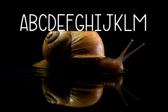 Micelle Reguler Example 1