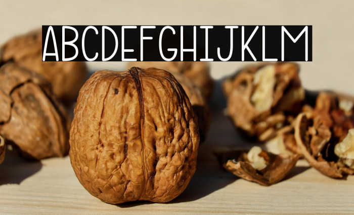 Micelle Reguler Example 3