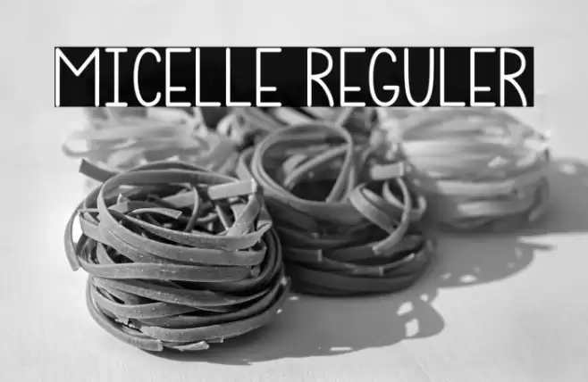 Micelle Reguler Font examples
