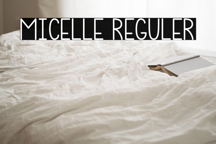 Micelle Reguler Example 2