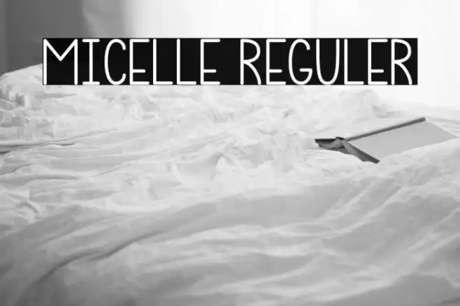 Micelle Reguler Font examples