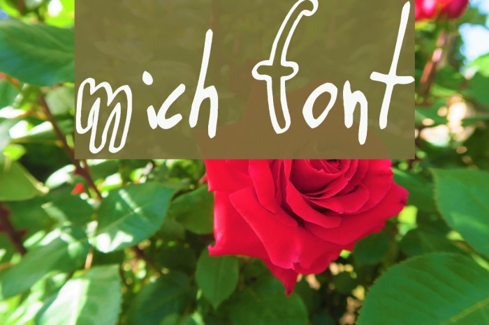 Mich Font examples