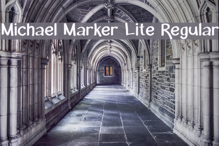 Michael Marker Lite Regular フォント examples