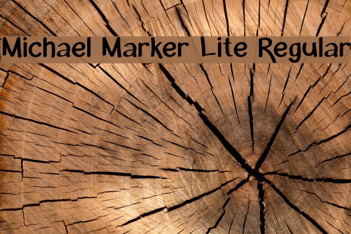 Michael Marker Lite Regular フォント examples