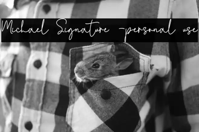 Michael Signature -personal use Font examples