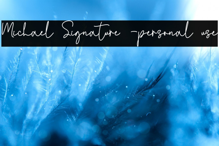 Michael Signature -personal use Example 3