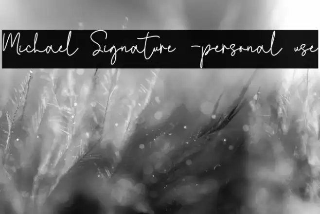 Michael Signature -personal use Font examples