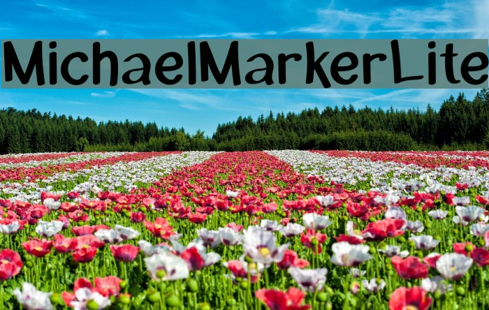 MichaelMarker-Lite Font examples