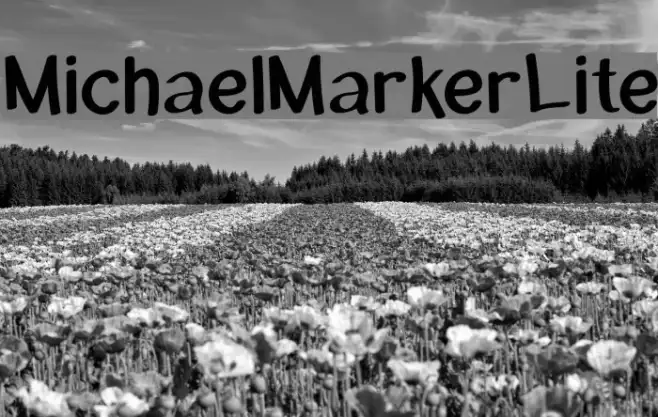 MichaelMarker-Lite Example 1