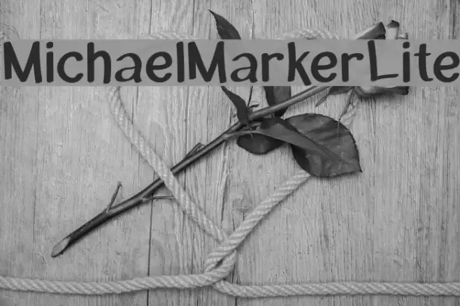 MichaelMarker-Lite Example 2