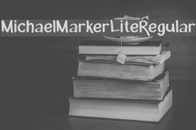 MichaelMarkerLite-Regular Polices examples