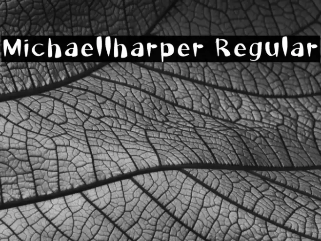 Michaellharper Regular Fonte examples