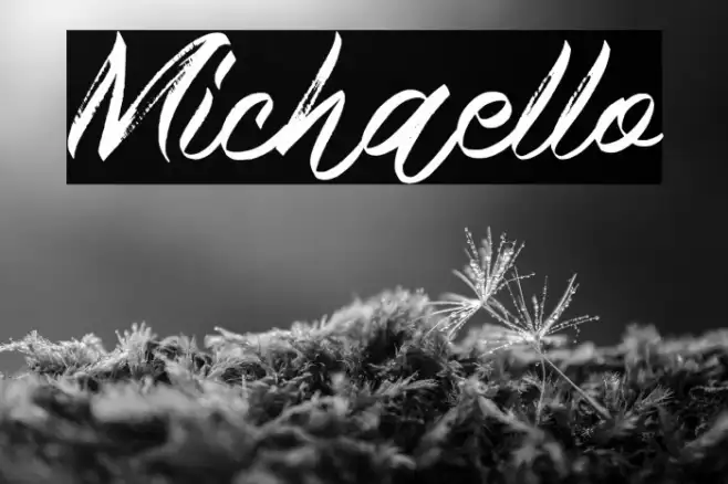 Michaello Example 1