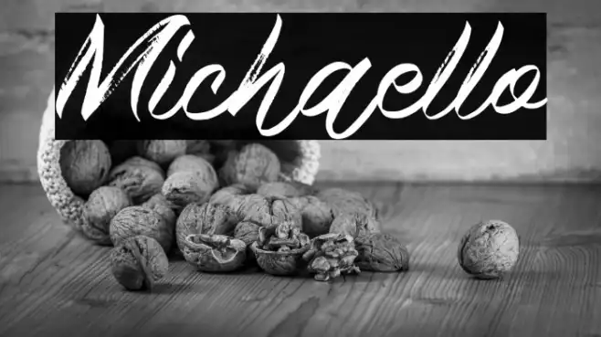 Michaello Example 2