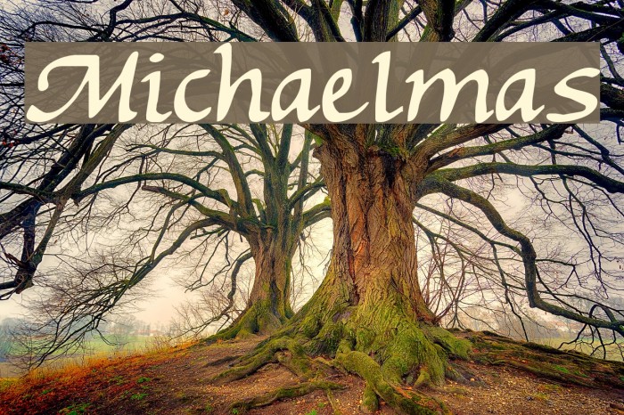 Michaelmas Font examples