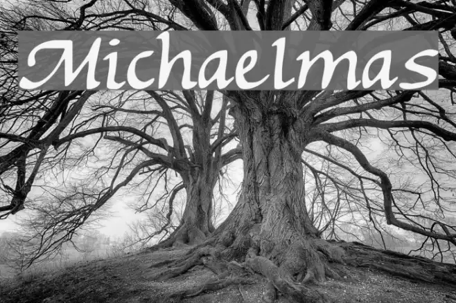 Michaelmas Example 3