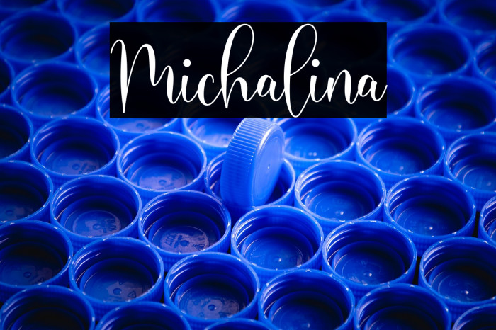 Michalina Example 1