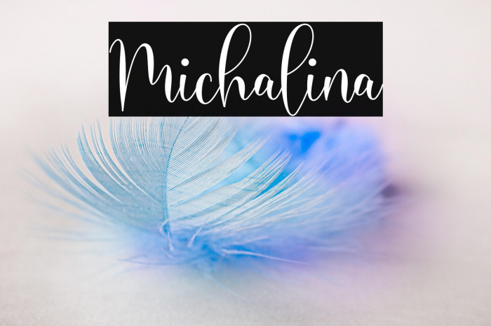 Michalina Example 2