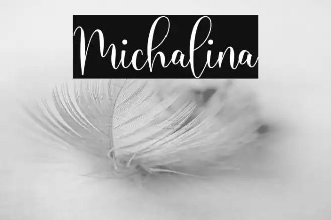 Michalina Example 2