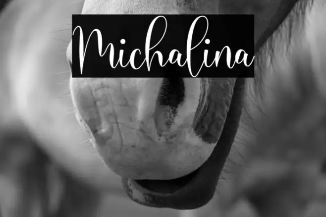 Michalina Example 3