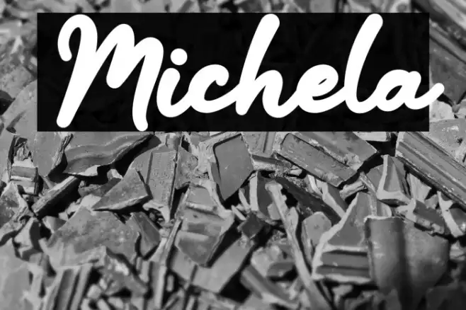 Michela Example 1