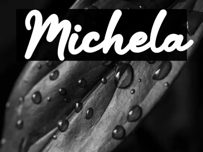 Michela Example 2