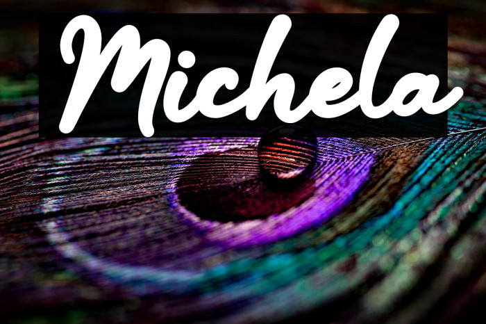 Michela Example 3