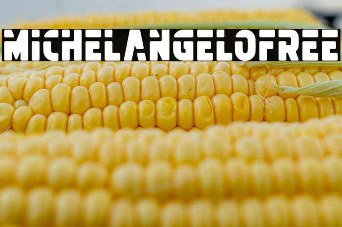 MichelangeloFREE Example 2