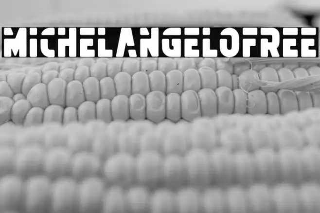 MichelangeloFREE Example 2