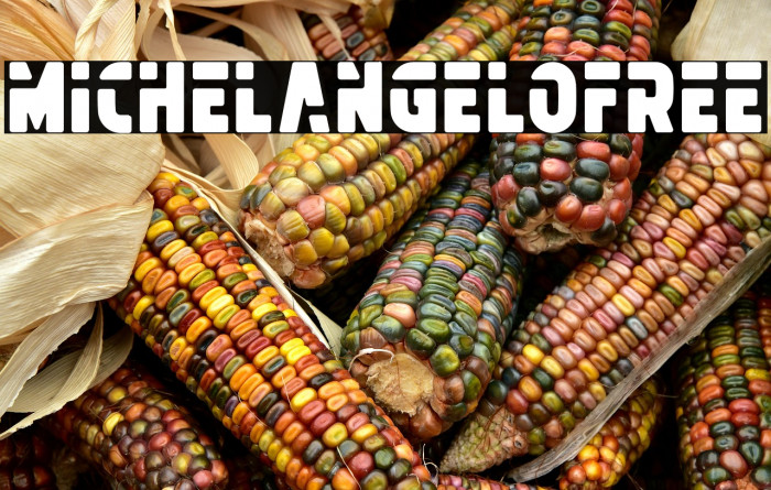 MichelangeloFREE Example 3