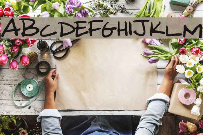 Michele Font examples