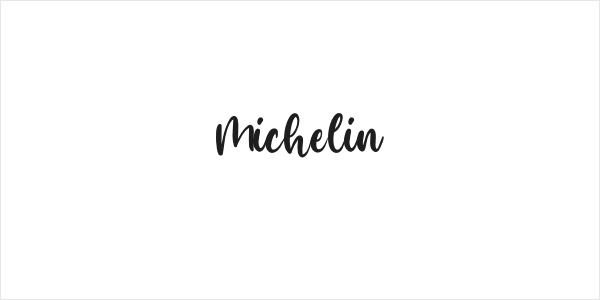 Michelin Logo
