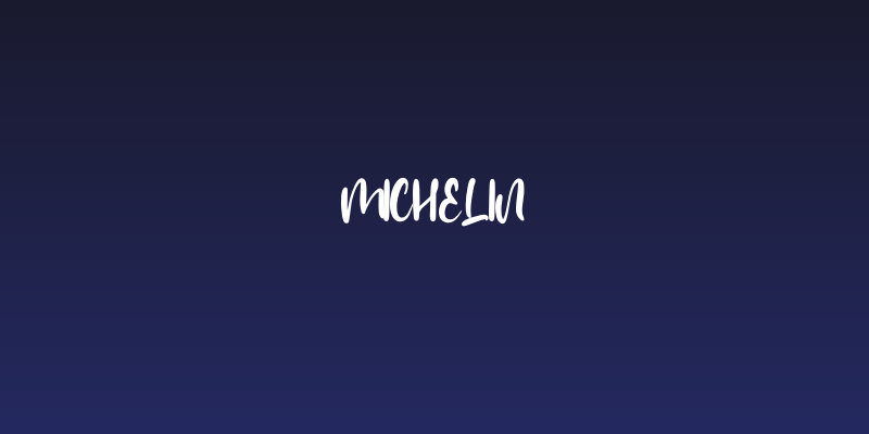 Michelin Social Header