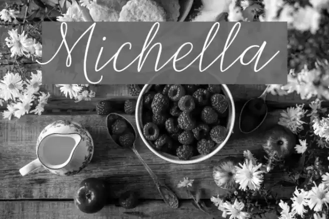 Michella Font examples