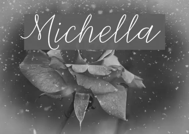 Michella Font examples