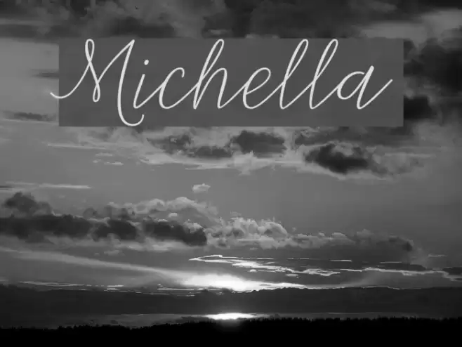 Michella Font examples