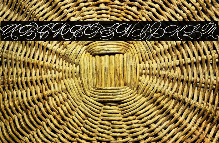 Michelle Fellicia Example 1