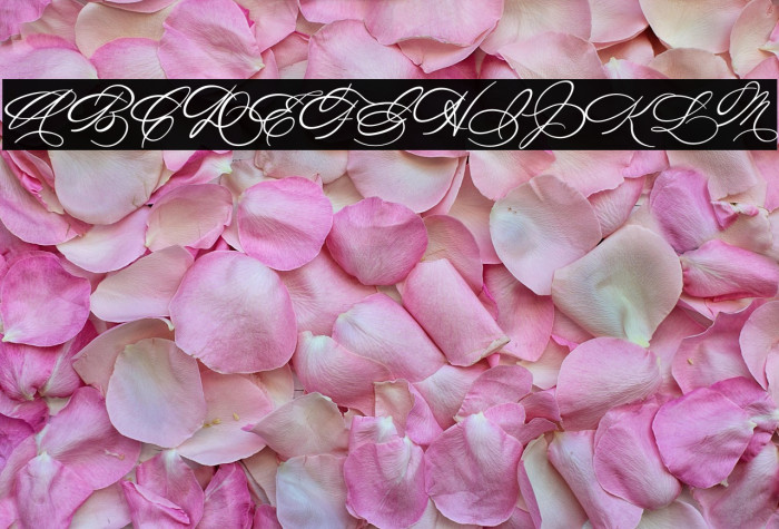 Michelle Fellicia Example 2