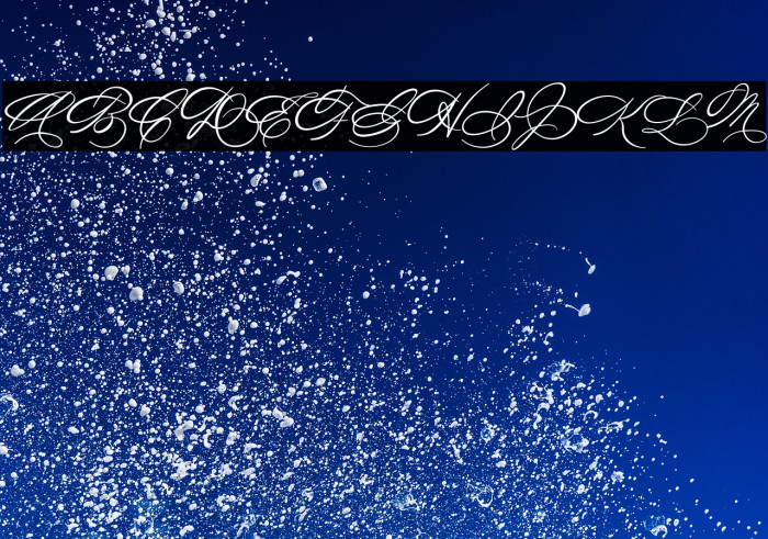 Michelle Fellicia Example 3