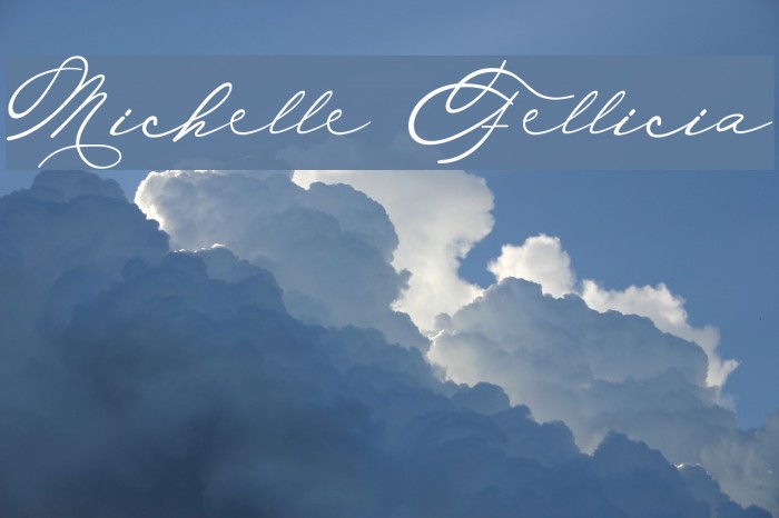 Michelle Fellicia フォント examples