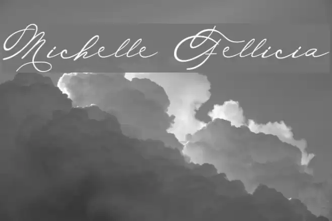 Michelle Fellicia Font examples