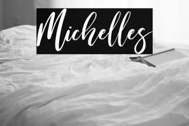 Michelles Example 1