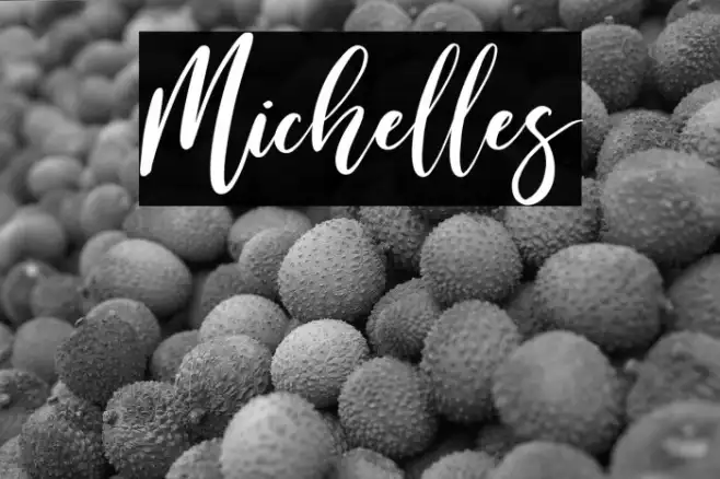 Michelles Example 3