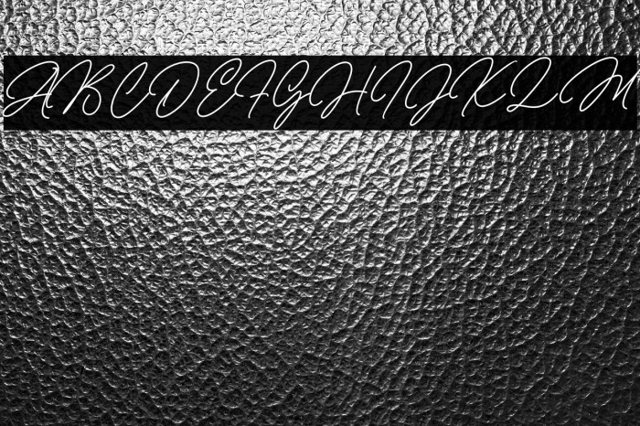 Michellina خط examples