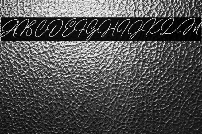 Michellina Font examples